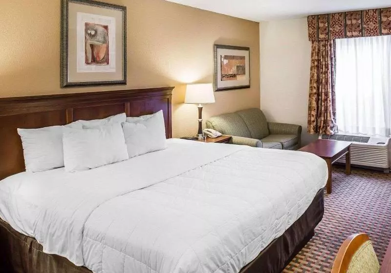 キングサイズベッドのスタンダードルーム, Quality Inn & Suites