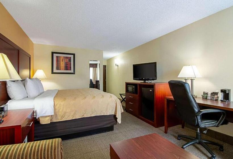 스탠다드 룸 킹사이즈 침대, Quality Inn Richburg