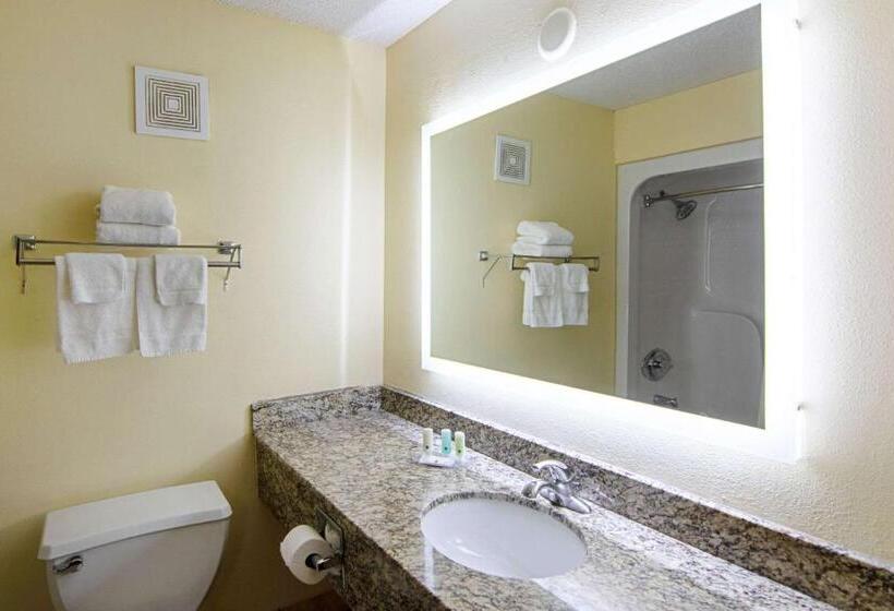 스탠다드 룸 킹사이즈 침대, Quality Inn Richburg