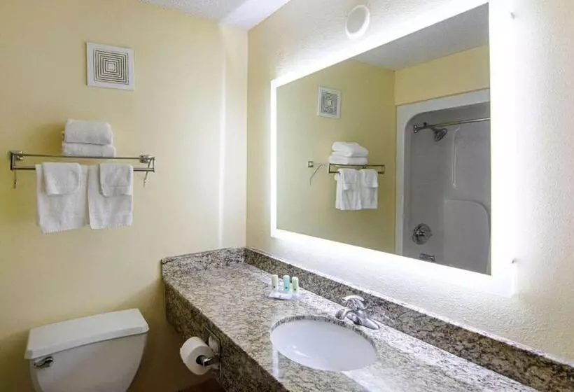 Standard-huone King-vuode, Quality Inn Richburg