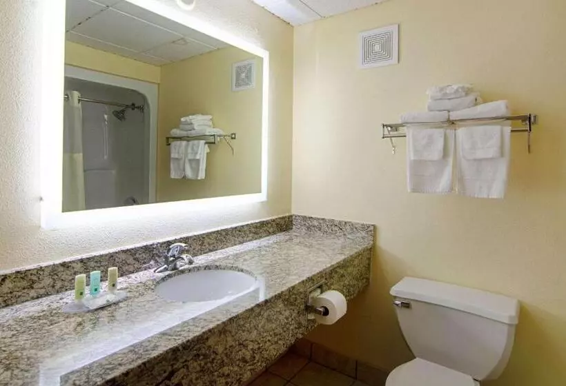 Standard-huone, Quality Inn Richburg