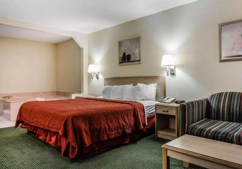 キングサイズベッドのスタンダードルーム, Quality Inn & Suites Stockbridge Atlanta South I 75