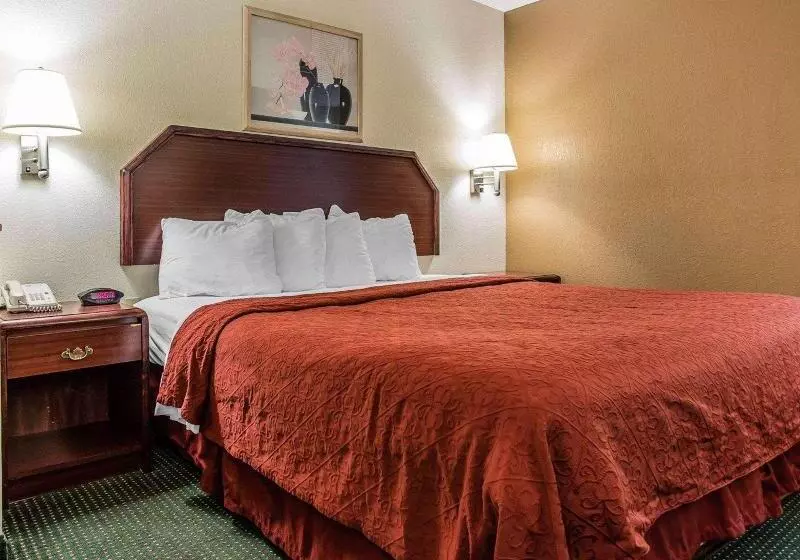 キングサイズベッドのスタンダードルーム, Quality Inn & Suites Stockbridge Atlanta South I 75