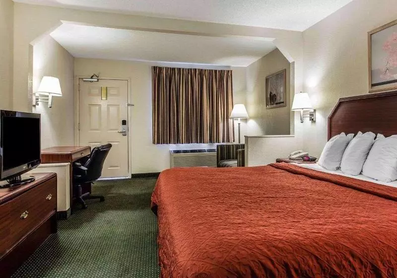 キングサイズベッドのスタンダードルーム, Quality Inn & Suites Stockbridge Atlanta South I 75