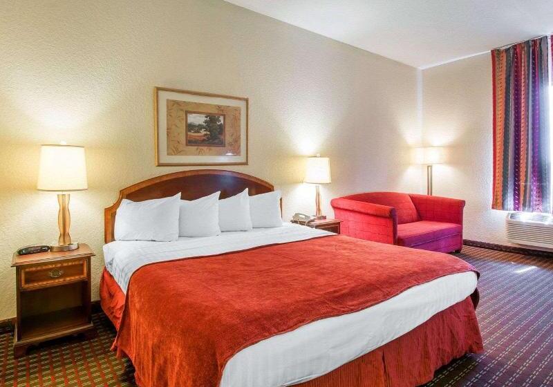 キングサイズベッドのスタンダードルーム, Rodeway Inn