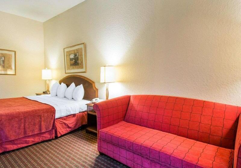 キングサイズベッドのスタンダードルーム, Rodeway Inn