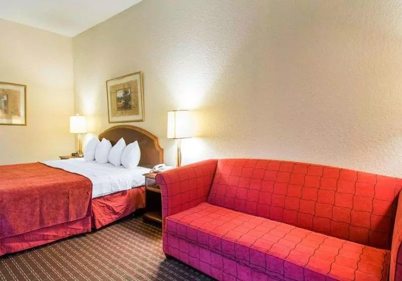Standard-huone King-vuode, Rodeway Inn