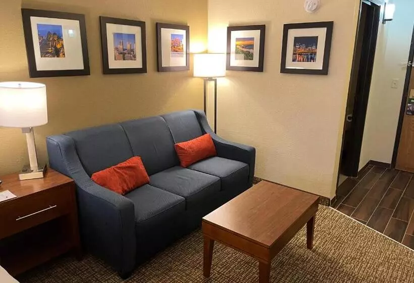 سوئیت با تخت بزرگ, Wingate By Wyndham Pittsburgh West Mifflin