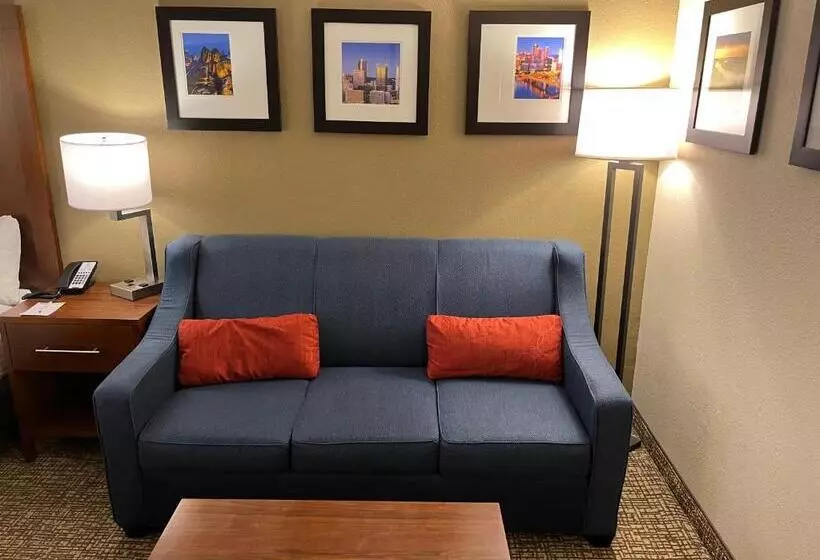سوئیت با تخت بزرگ, Wingate By Wyndham Pittsburgh West Mifflin