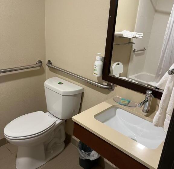 Номер Стандарт Кровать Квин Адаптированный для Инвалидов, Wingate By Wyndham Pittsburgh West Mifflin