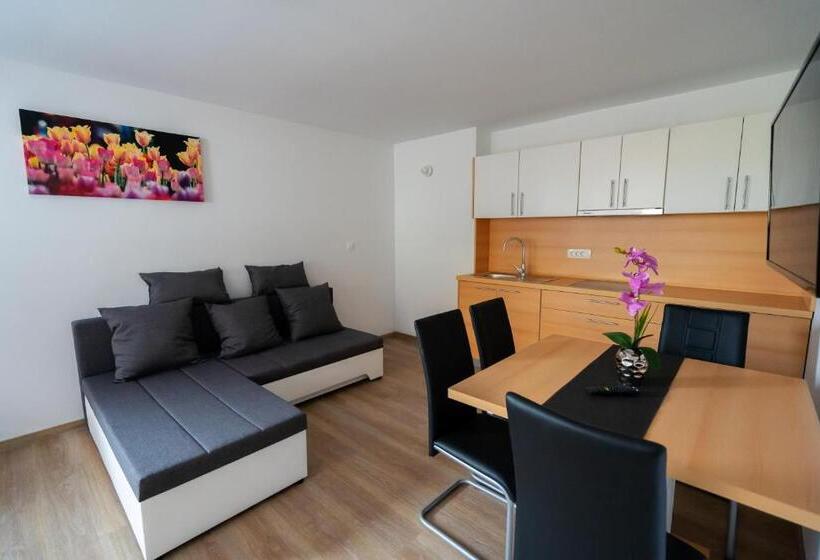 آپارتمان 1 خوابه, Pjagodic Apartments & Wellness