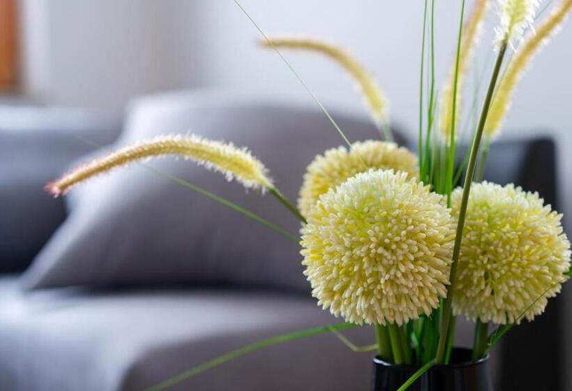 آپارتمان 1 خوابه با بالکن, Pjagodic Apartments & Wellness