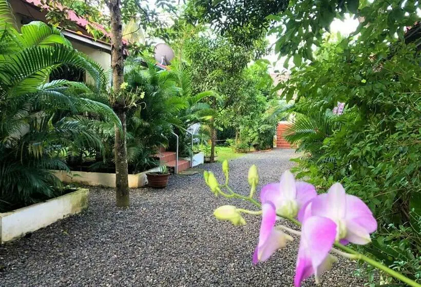 اتاق استاندارد با چشمانداز باغ, Green Mango Bungalows