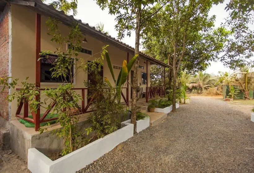 اتاق اکونومی, Green Mango Bungalows