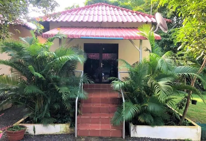 بانگلوی سوپریور, Green Mango Bungalows