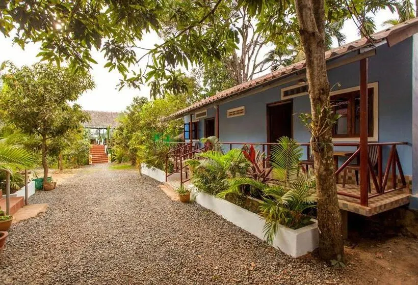 اتاق اکونومی, Green Mango Bungalows