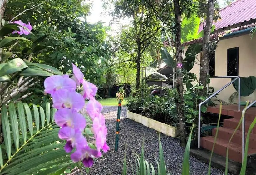 اتاق استاندارد با چشمانداز باغ, Green Mango Bungalows