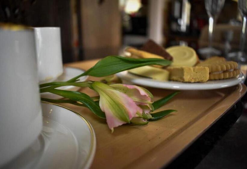스탠다드 싱글 룸, Tlc Exmouth Bed And Breakfast