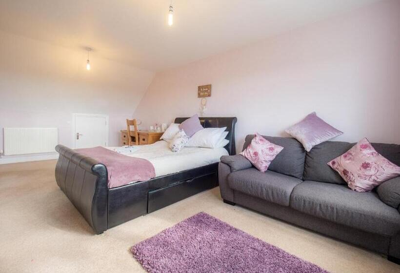 اتاق سوپریور با تخت بزرگ, Tlc Exmouth Bed And Breakfast