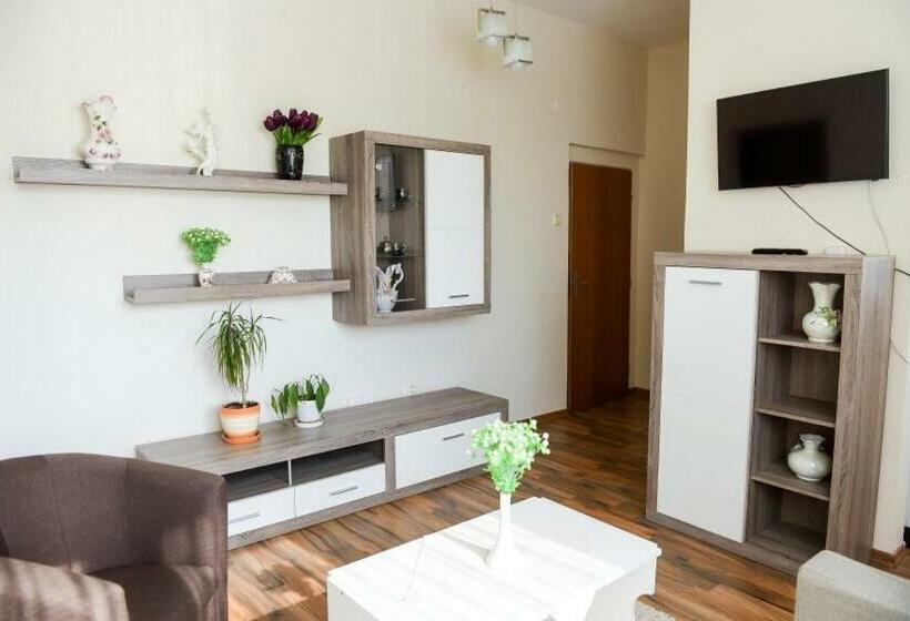 شقة غرفة واحدة, Rubín