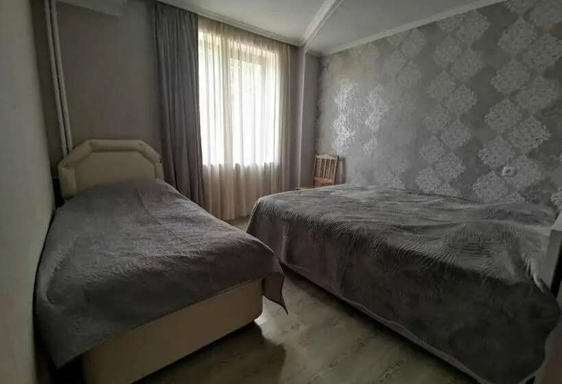 اتاق استاندارد سه نفره, Ronini Telavi