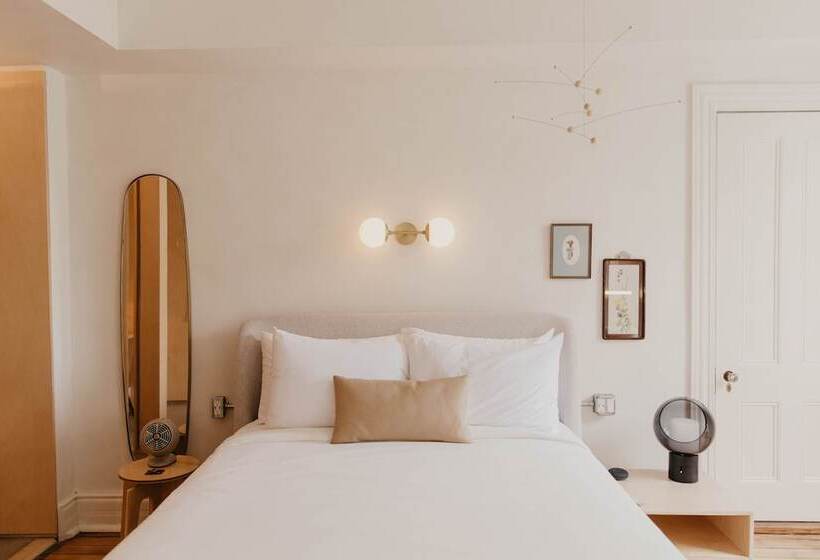 スタンダードルーム, Dreamers By Dw