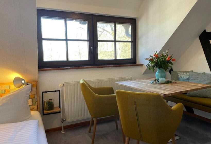 Standard studio with lake view, Luisenhof