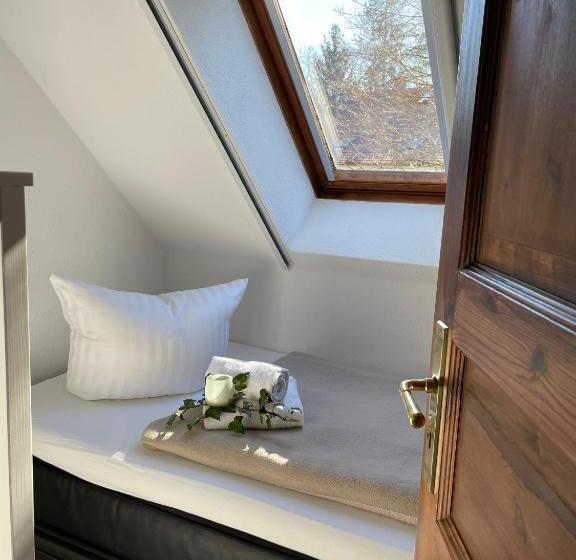 Standard studio with lake view, Luisenhof