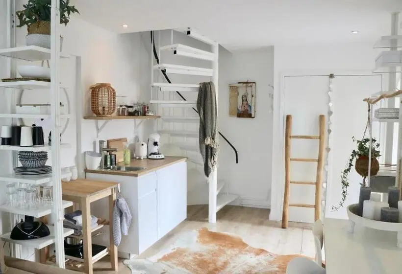 スーペリアの４人部屋, Cavalli's Cottage