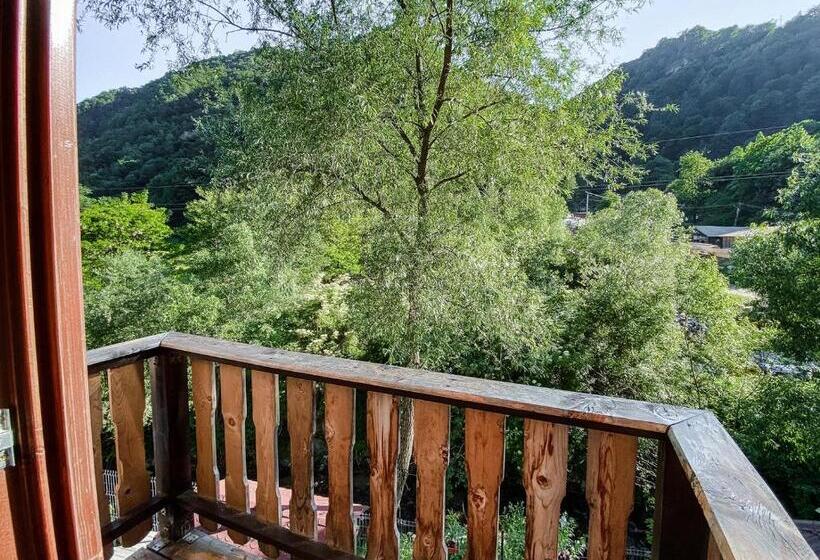 スタンダードルーム, Pensiunea Petru