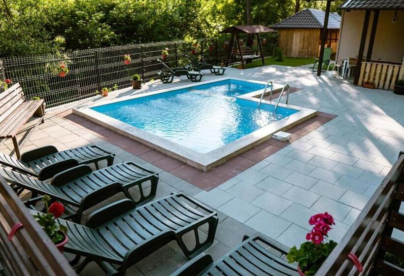 １ベッドルームハウス, Pensiunea Petru