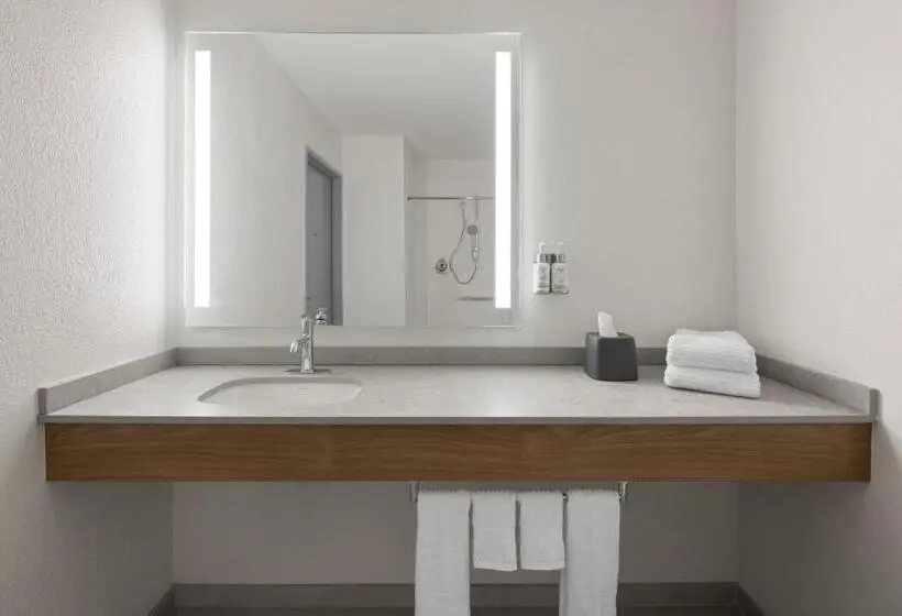 اتاق استاندارد با تخت بزرگ برای معلولان, Garner Hotel Phoenix Northwest Surprise By Ihg