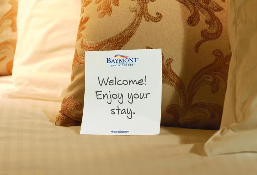 חדר סטנדרט, Baymont By Wyndham Kennesaw