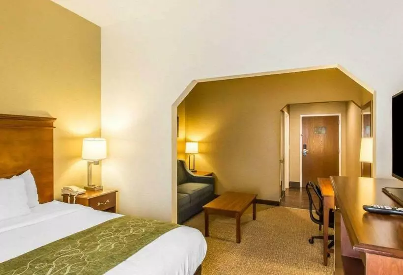 キングサイズベッドのスイートルーム, Comfort Suites Cookeville