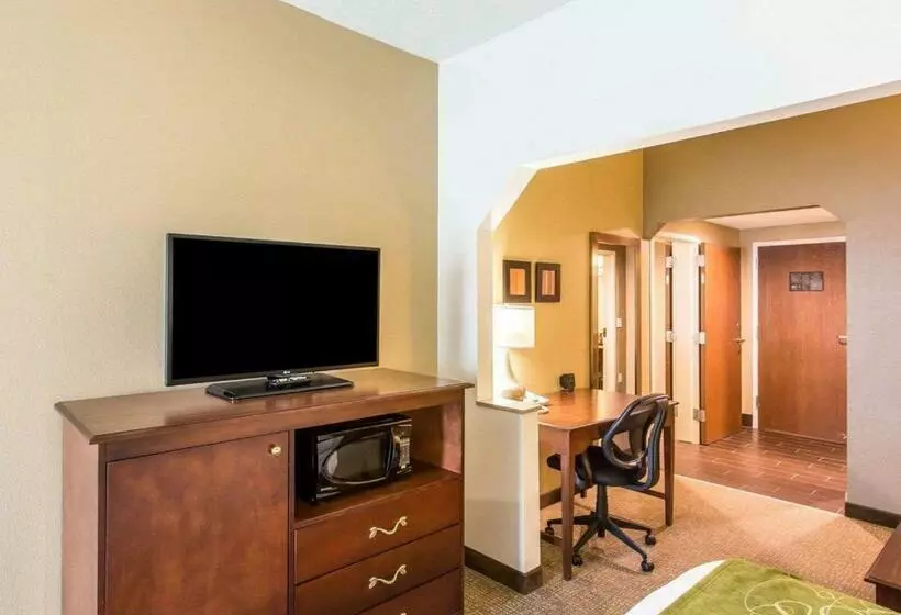 キングサイズベッドのスイートルーム, Comfort Suites Cookeville