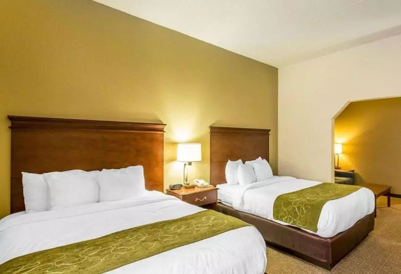 スタンダードルーム, Comfort Suites Cookeville