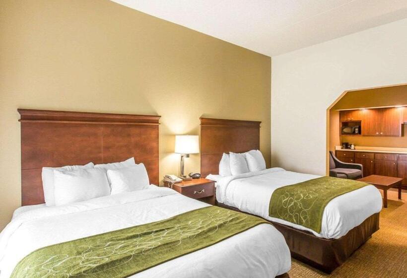 Номер Стандарт, Comfort Suites Cookeville