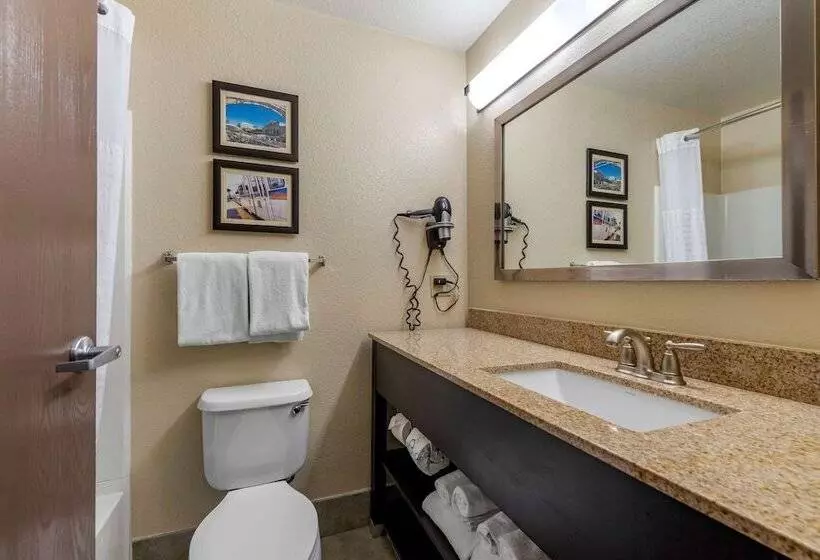 スイート, Comfort Suites Highlands Ranch Denver Tech Center Area