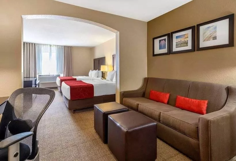 スイート, Comfort Suites Highlands Ranch Denver Tech Center Area