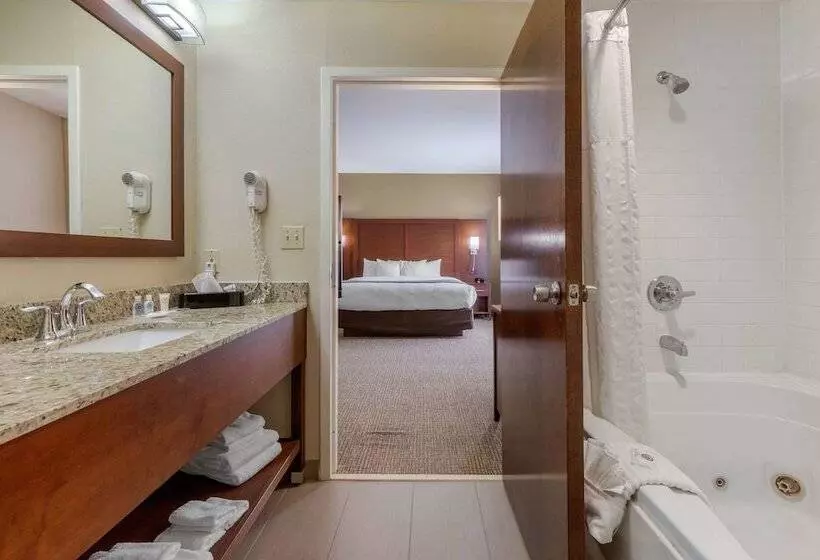 スイート, Comfort Suites Johnson City Near University