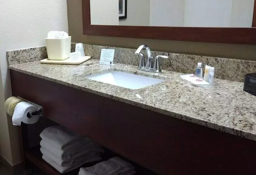 スイート, Comfort Suites Johnson City Near University