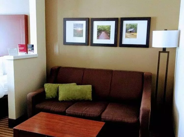 スイート, Comfort Suites Johnson City Near University