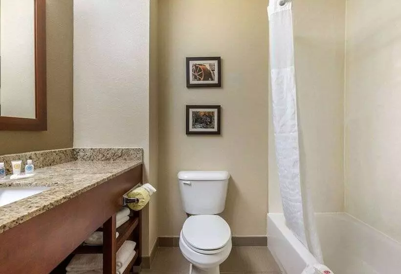 スイート, Comfort Suites Johnson City Near University
