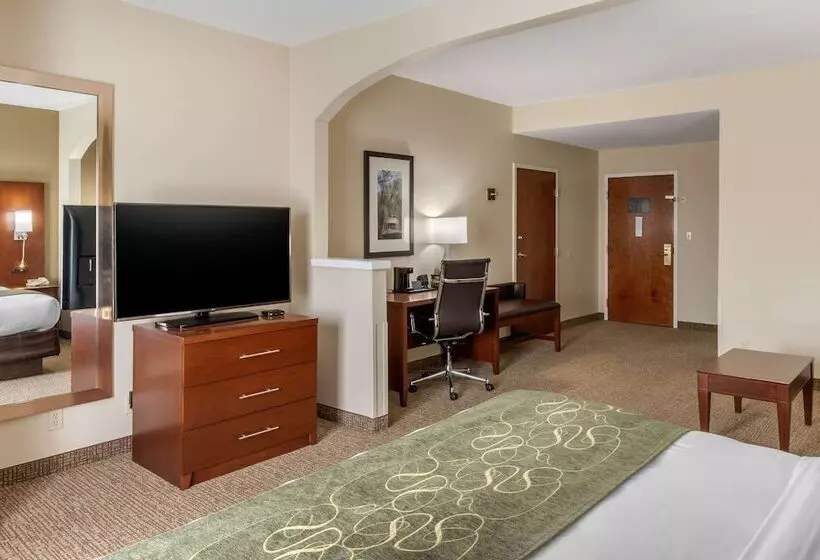 スイート, Comfort Suites Johnson City Near University