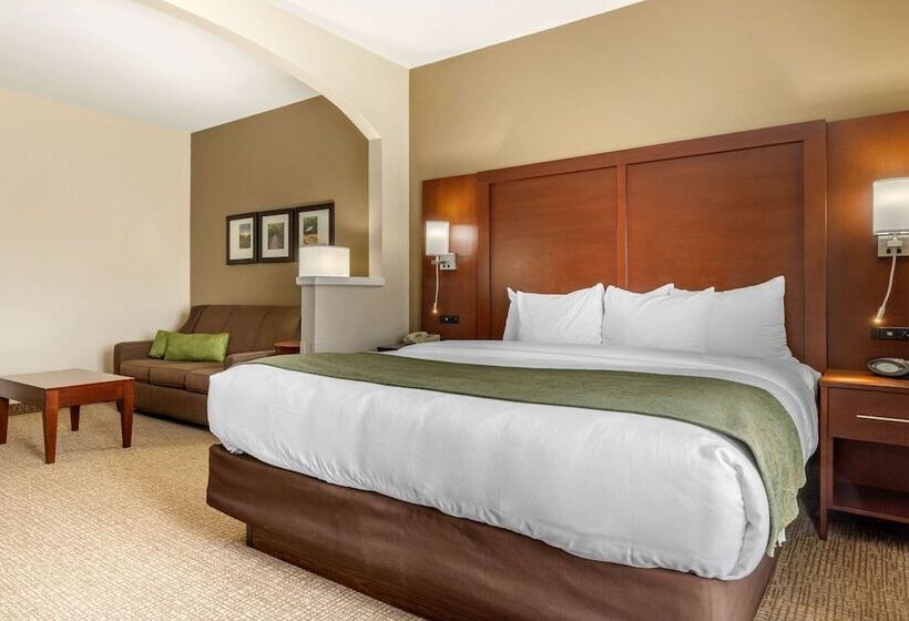 סוויטה, Comfort Suites Johnson City Near University