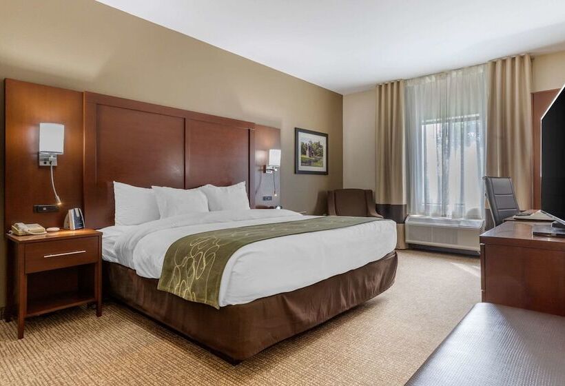 스위트, Comfort Suites Johnson City Near University