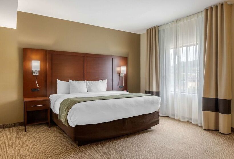 סוויטה, Comfort Suites Johnson City Near University
