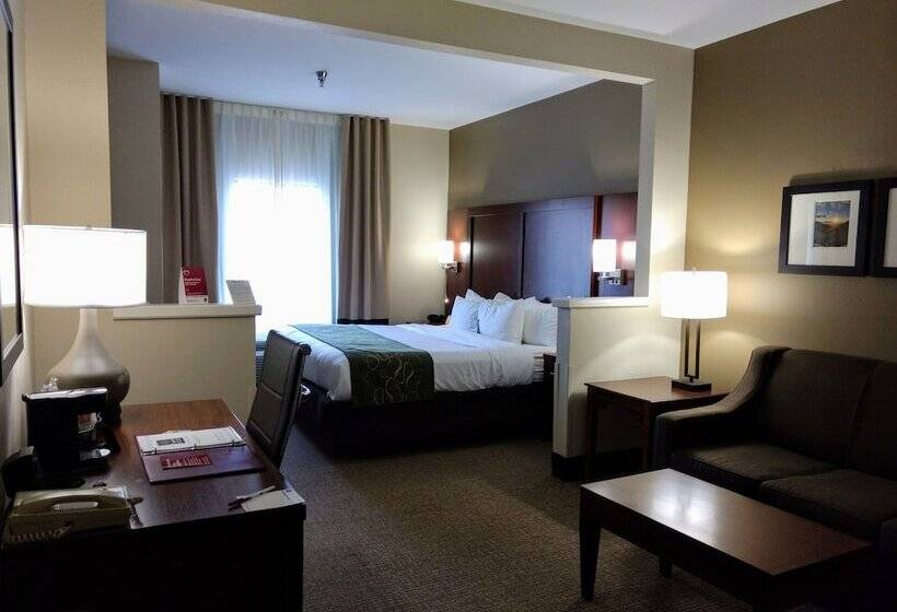 סוויטה, Comfort Suites Johnson City Near University