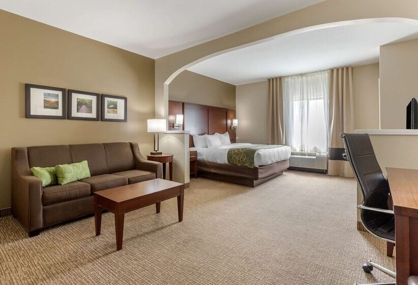 스위트, Comfort Suites Johnson City Near University