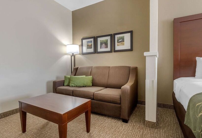 스위트, Comfort Suites Johnson City Near University